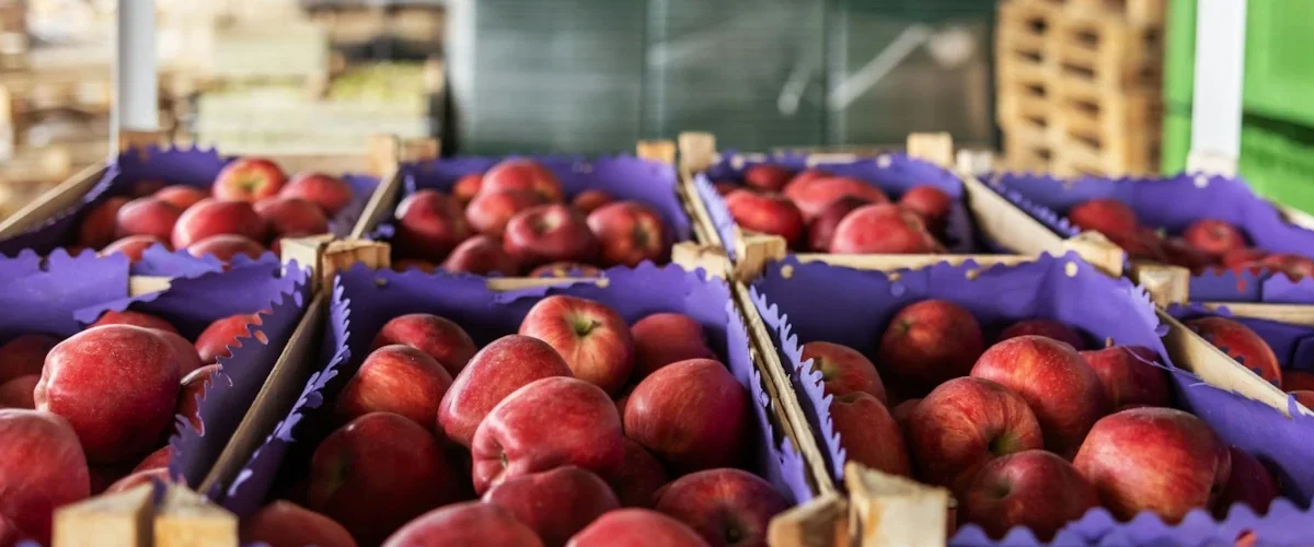 Entenda todas as regras para o transporte de alimentos