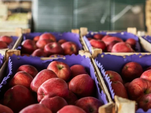 Entenda todas as regras para o transporte de alimentos